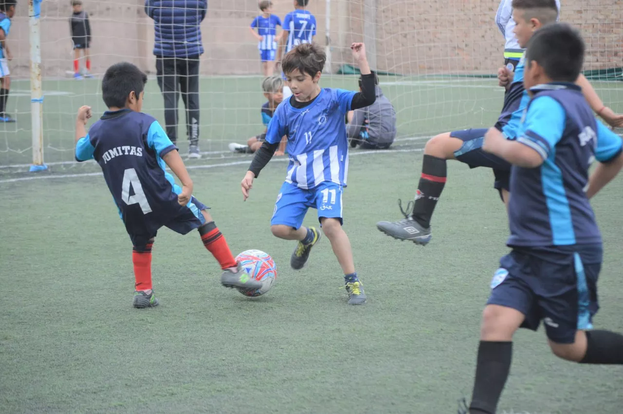 Liga Infantil Formativa, Torneo Apertura