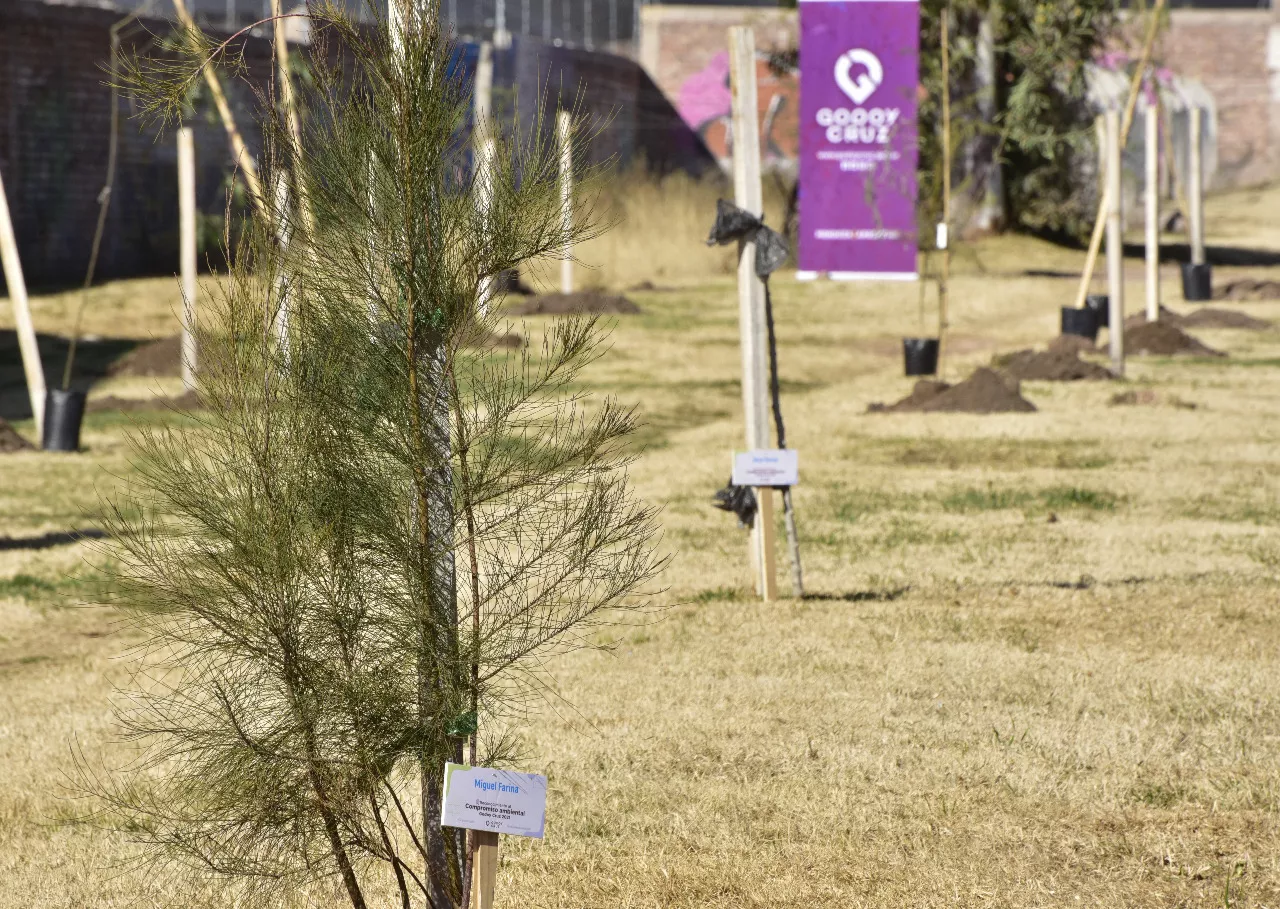 reconocimiento ambiental 2022 garcia zalazar 4