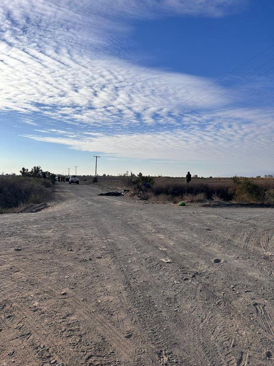 WhatsApp Image 2024-07-11 at 18.52.43 (1)