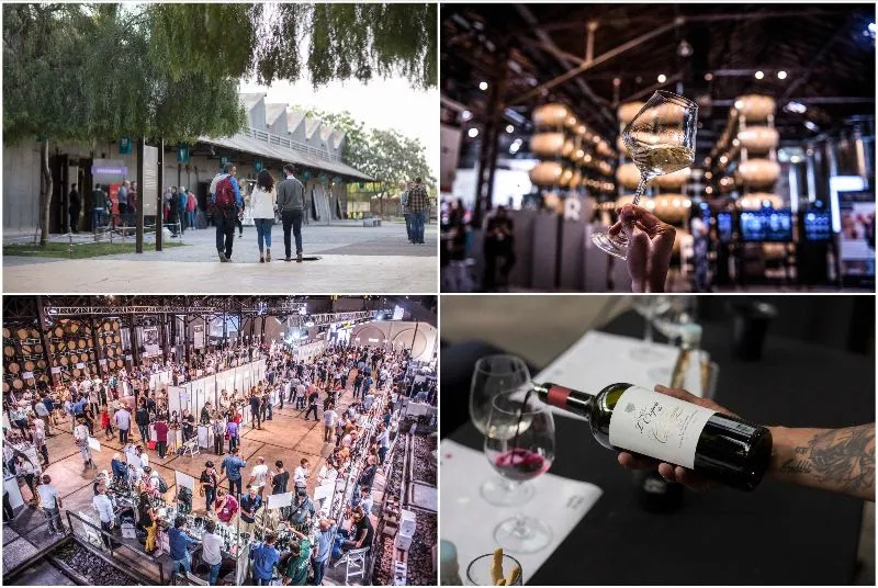 stands vinos