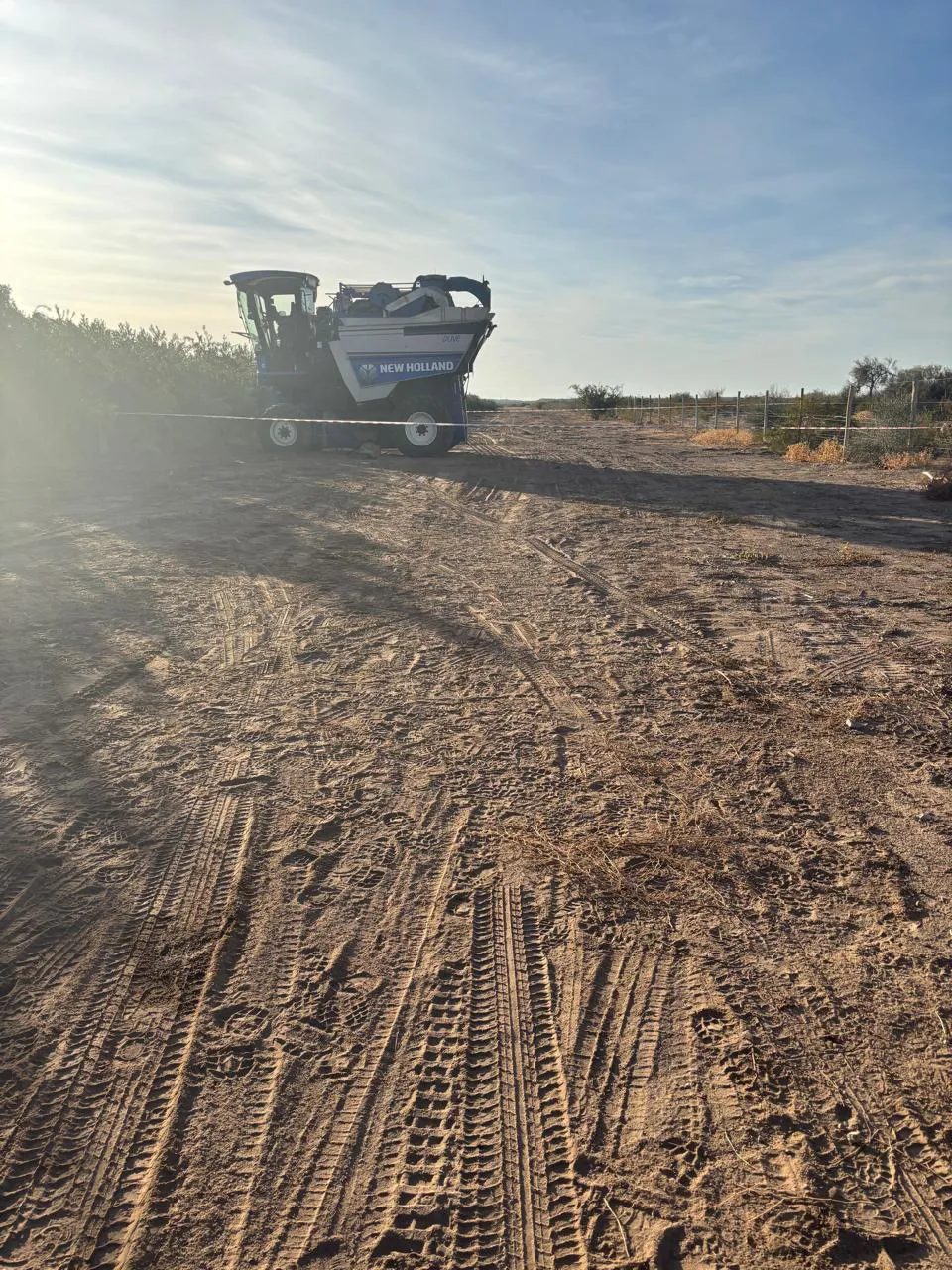 WhatsApp Image 2025-06-01 at 3.54.01 PM (1)