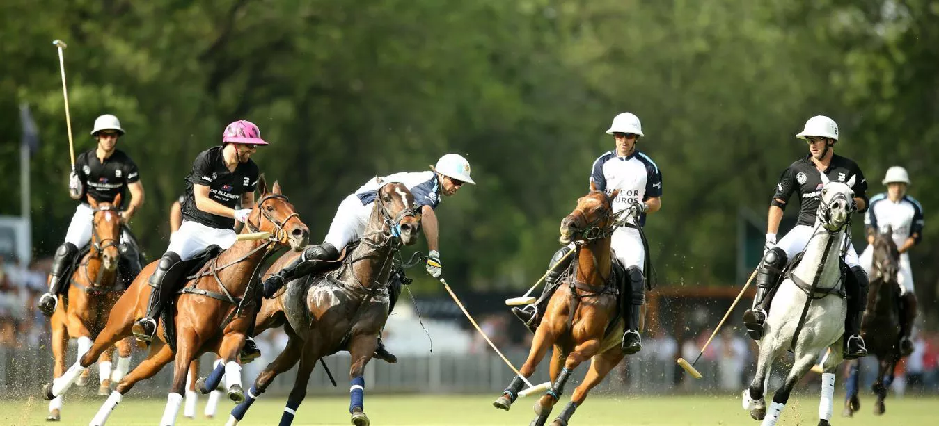 Polo, Mendoza, Campeonato con hándicap