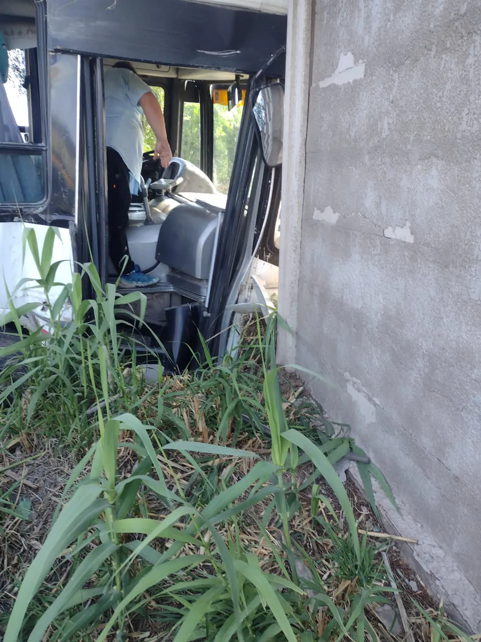 WhatsApp Image 2024-11-16 at 9.13.33 PM (3)