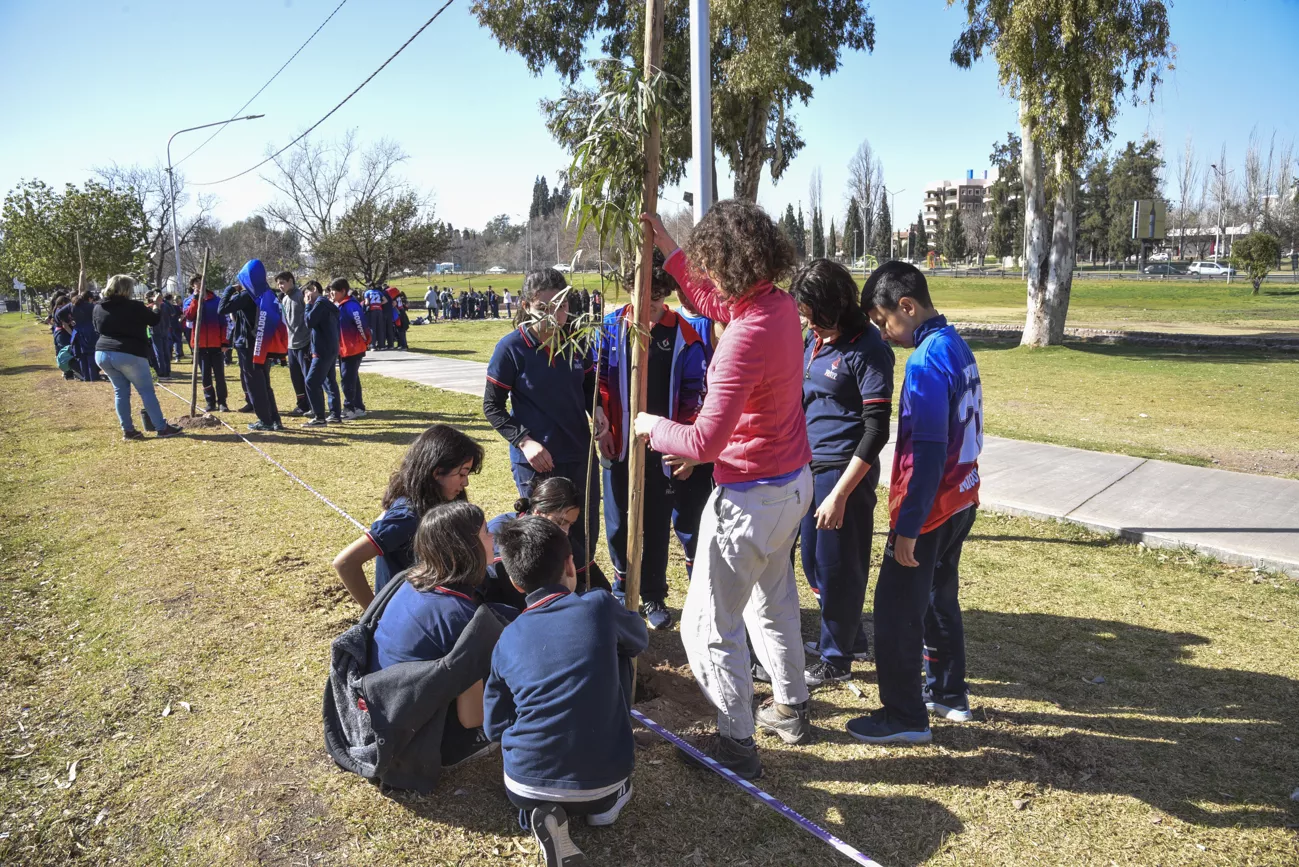 Cierre Mes del árbol (22)