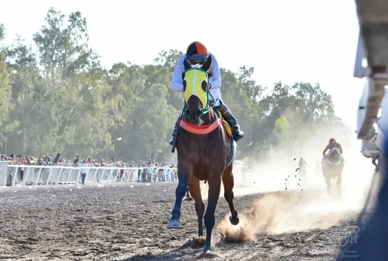 Turf, Clasico Domingo Faustino Sarmiento