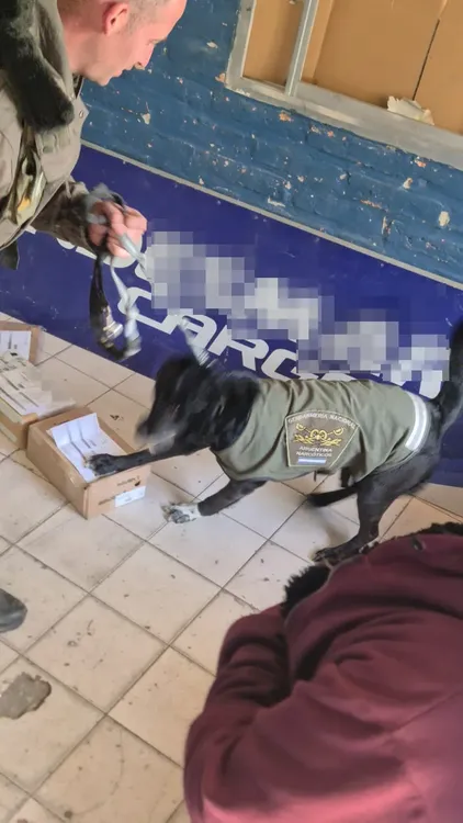 San Juan procedimiento Gendarmería (1)