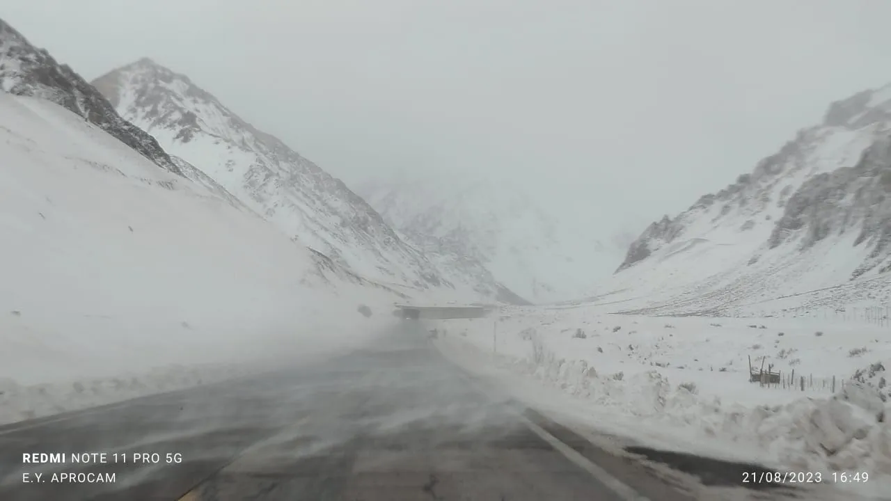 WhatsApp Image 2023-08-21 at 18.59.45