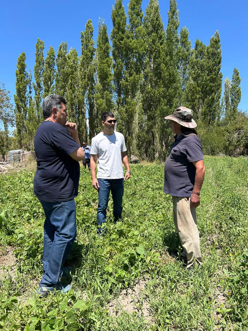 37f37798-1d4e-47dc-8bb8-ab78e5758678