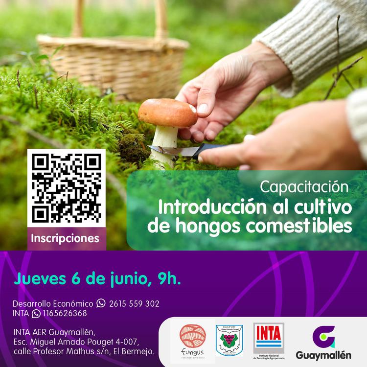 introduccion cultivo hongos-01 (1)