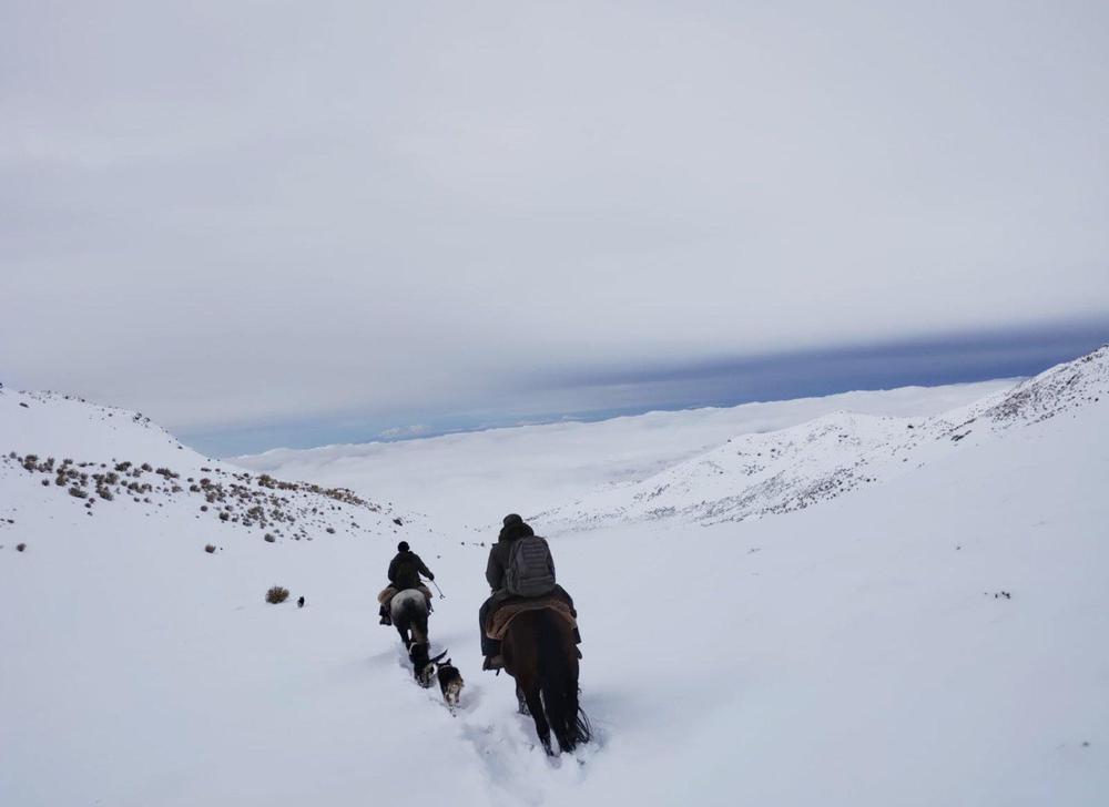 Grupo de Rescate Alta Montaña de Gendarmería