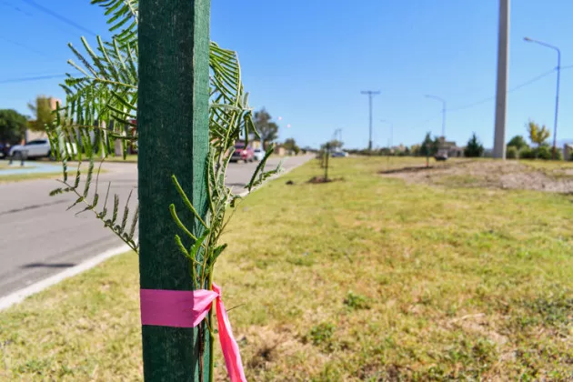 DSC_0242-Agencia-630x420