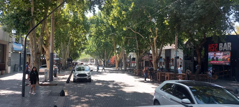 Copa del Mundo 2022 Mendoza Previa