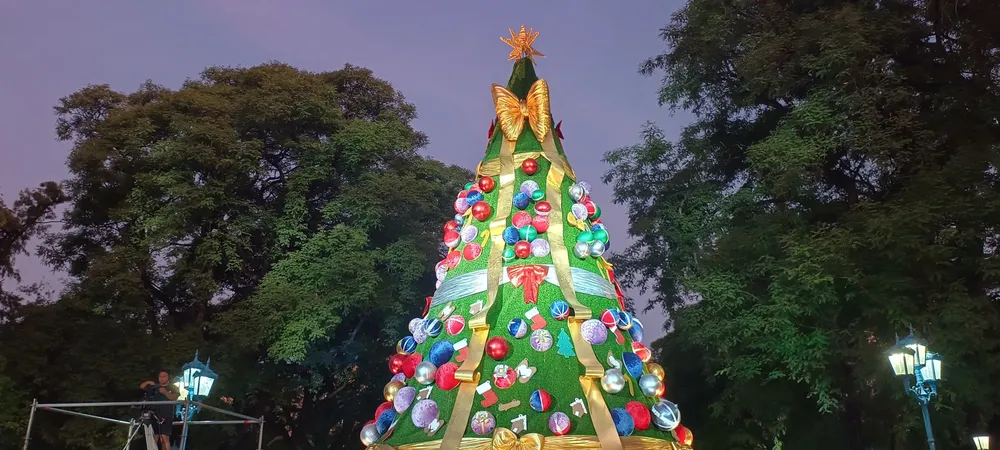 mendoza navidad 2024