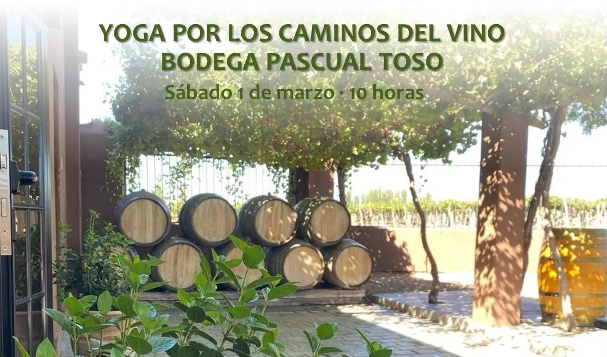 yoga por los caminos del vino 01032025