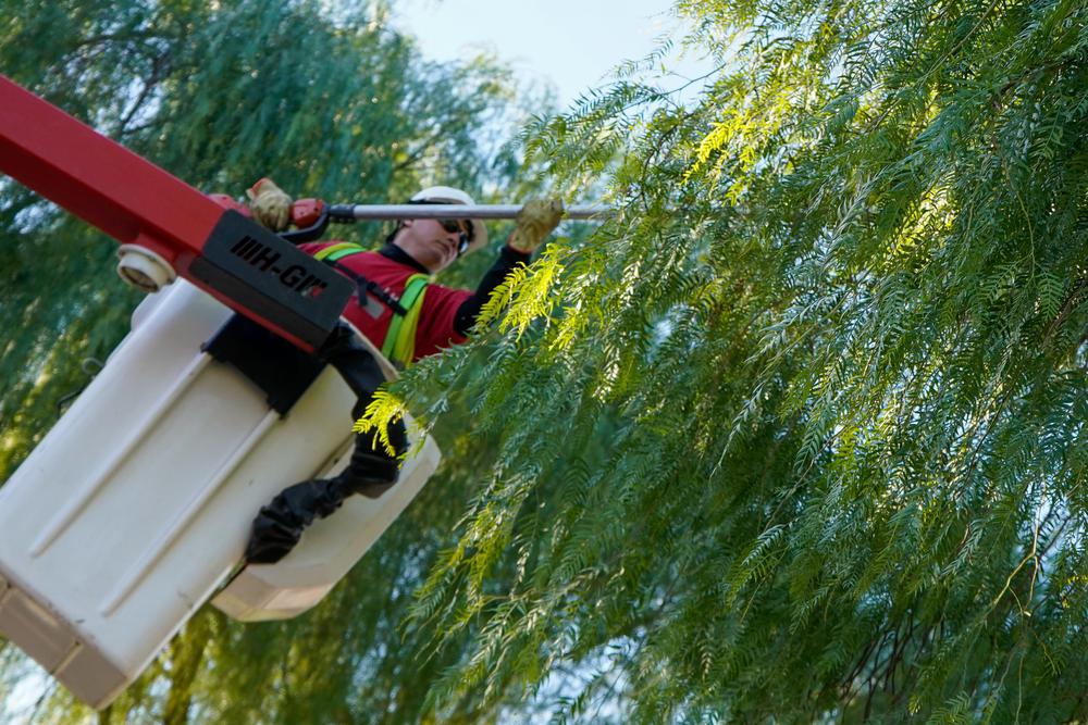 Las Heras,  espacios verdes y arbolado