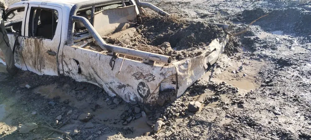 WhatsApp Image 2025-01-17 at 1.13.44 PM