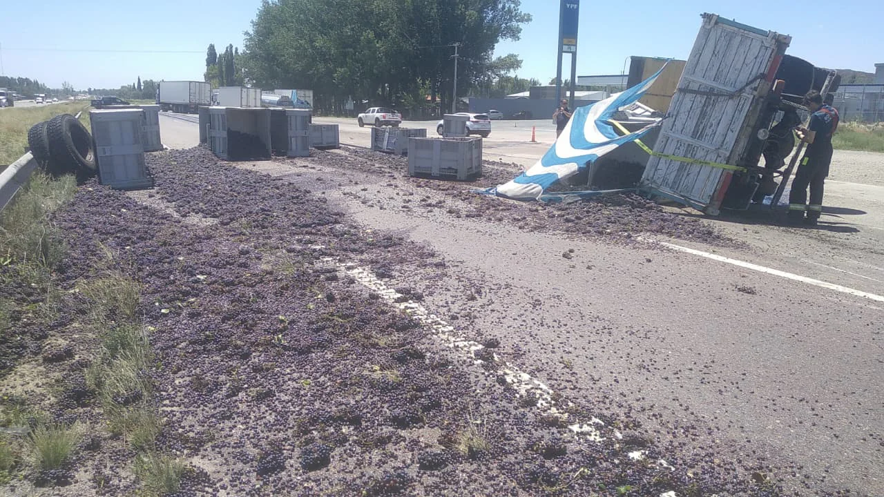 WhatsApp Image 2026-02-09 at 2.15.22 PM