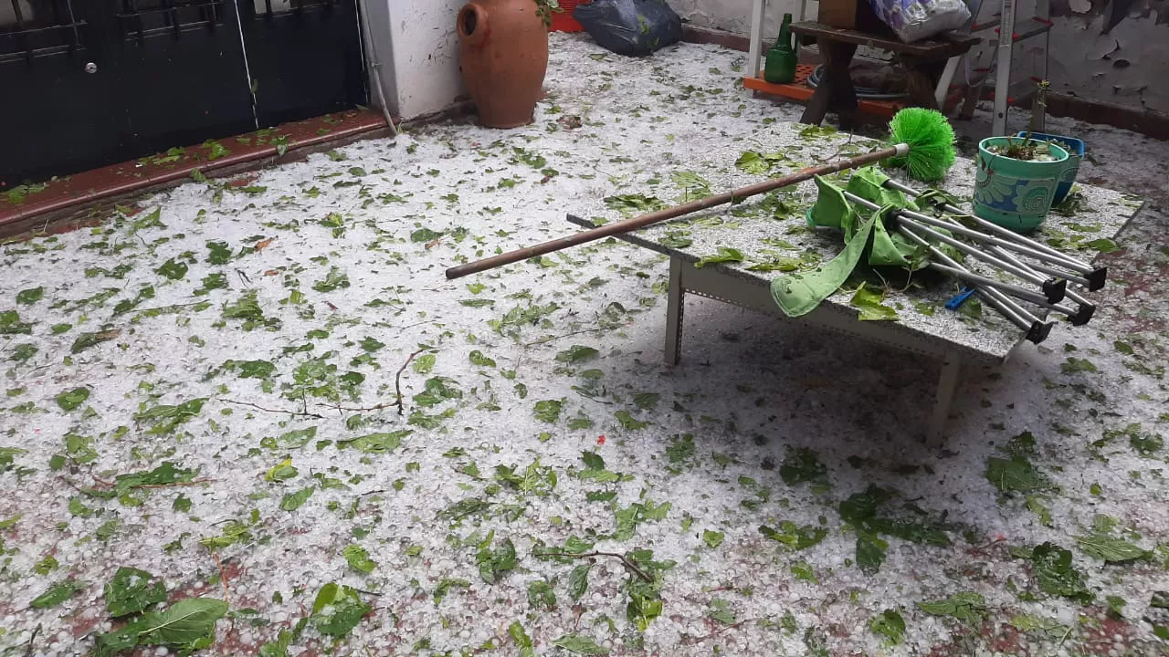tormenta daños 2