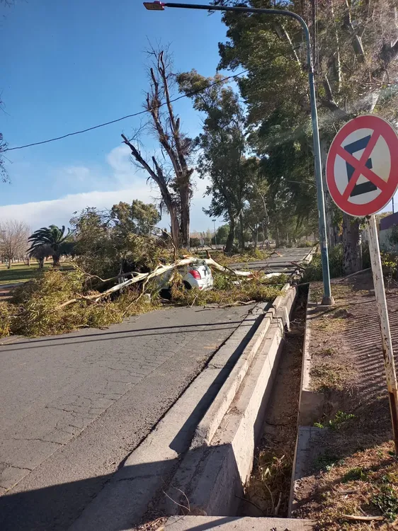 WhatsApp Image 2023-07-21 at 19.36.23 (1)