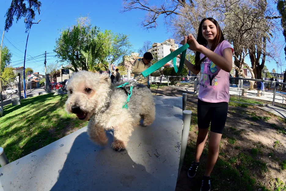 plaza-canina1