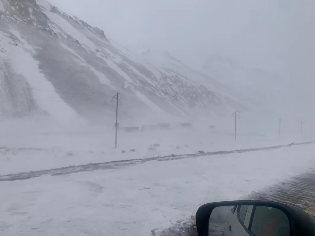 WhatsApp Image 2023-08-20 at 12.52.54