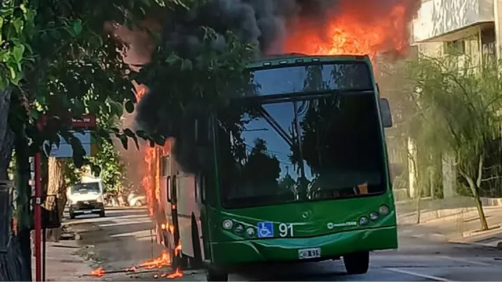 WhatsApp Image 2025-12-08 at 7.01