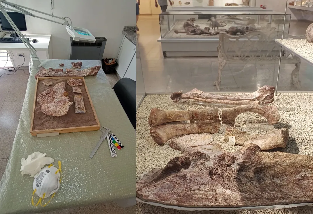 aerosteon restauracion