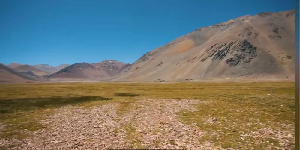 07e7939e-c5b9-40b4-9f82-cd6dbc05da88