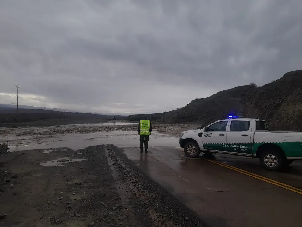 WhatsApp Image 2025-01-11 at 9.00.57 PM (1)