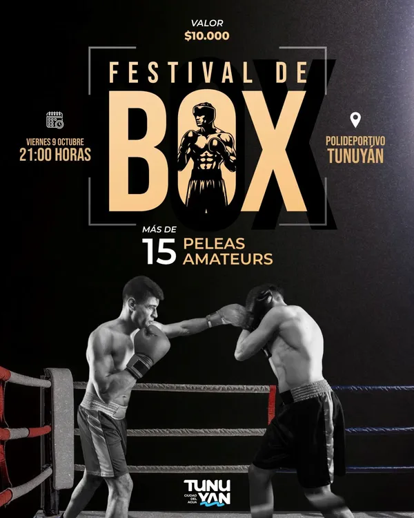 festival de boxeo tunuyan