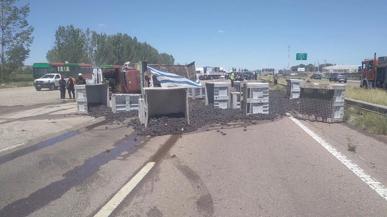 WhatsApp Image 2026-02-09 at 2.15.22 PM (1)