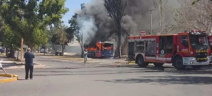 WhatsApp Image 2024-12-14 at 6.53.33 PM