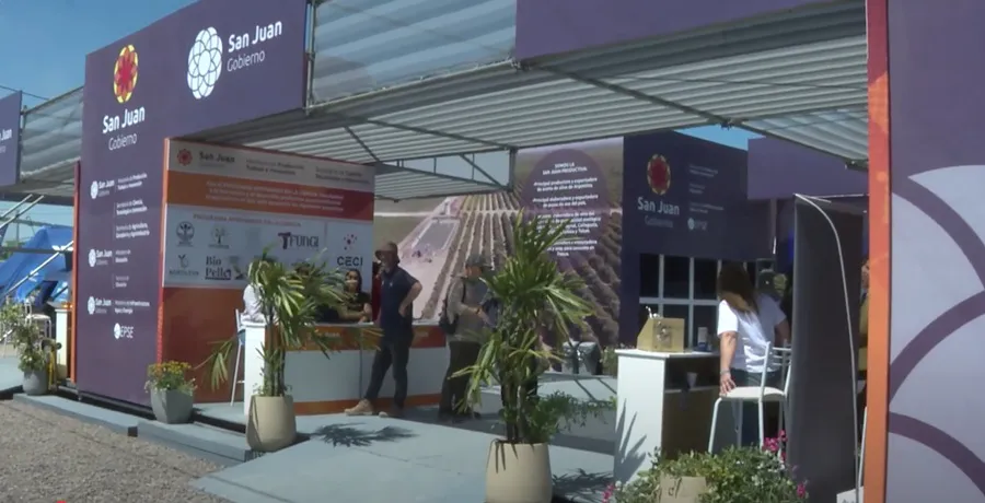 Feria Expo Innova San Juan