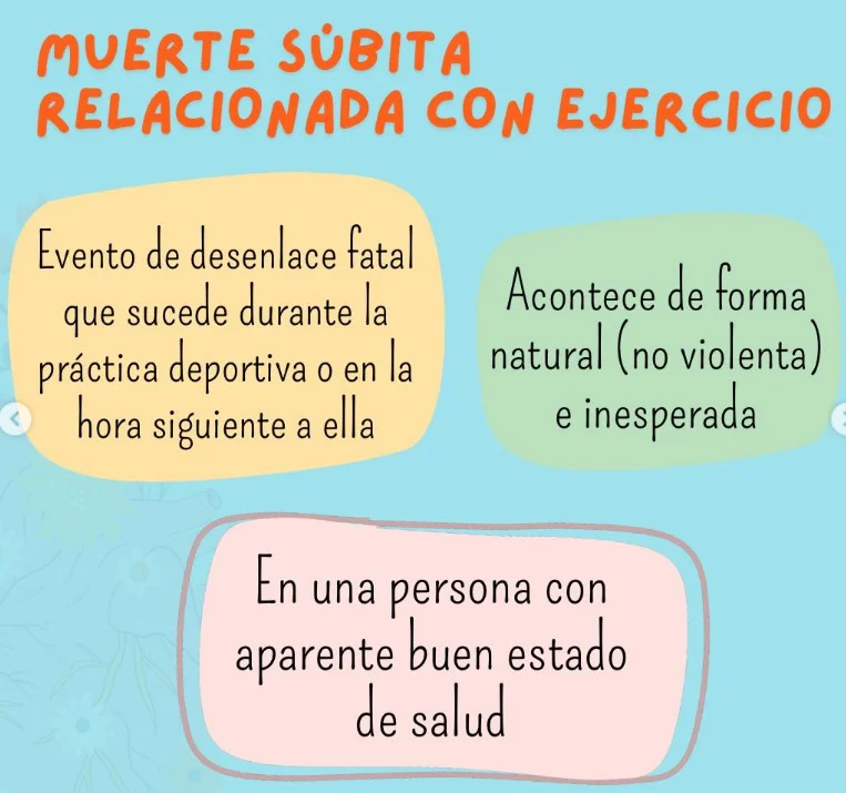 WhatsApp Image 2026-04-01 at 21.31.17 (2)