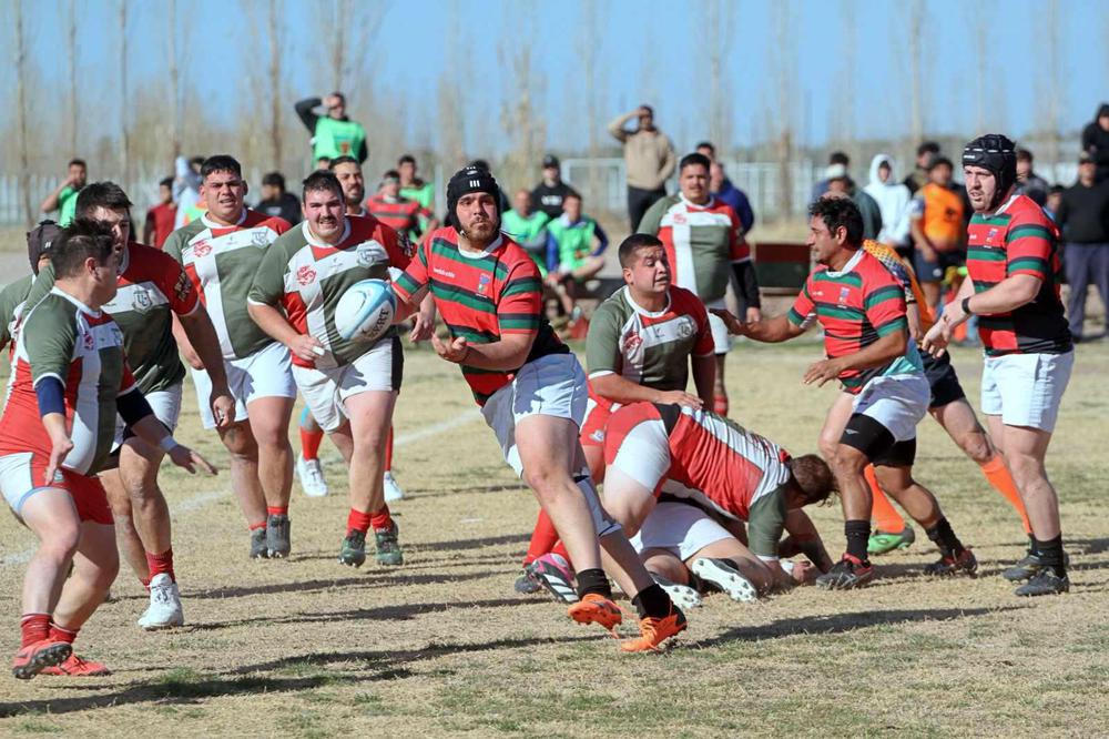 Rugby, Pumai-Unión