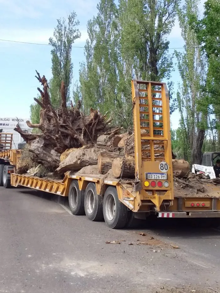 Vialidad operativos limpieza