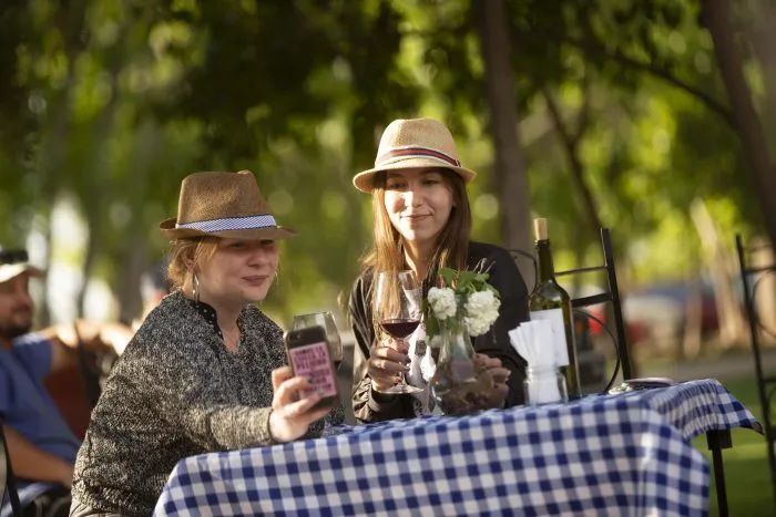Caminos-del-Vino-700x467