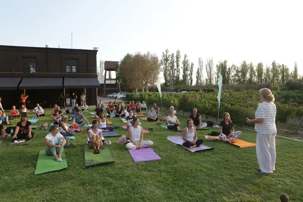 Yoga por los Caminos del Vino (2)