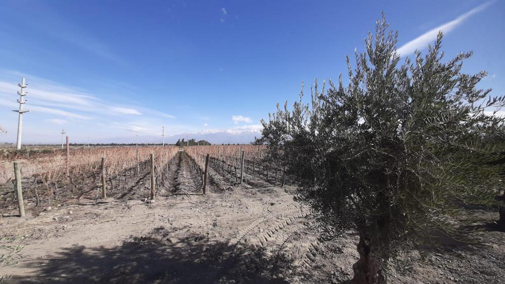 WhatsApp Image 2021-08-28 at 18.57.42