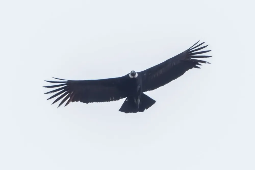 PO-La-Montura-VI-1536x1024