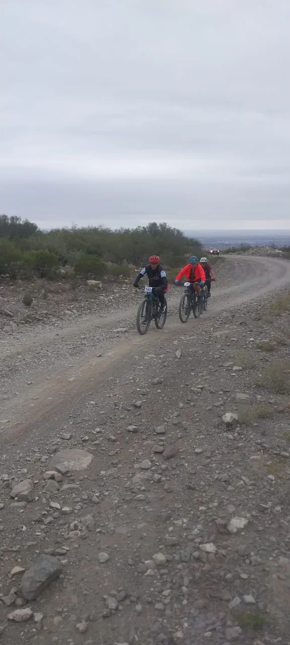 WhatsApp Image 2023-06-04 at 16.00.35