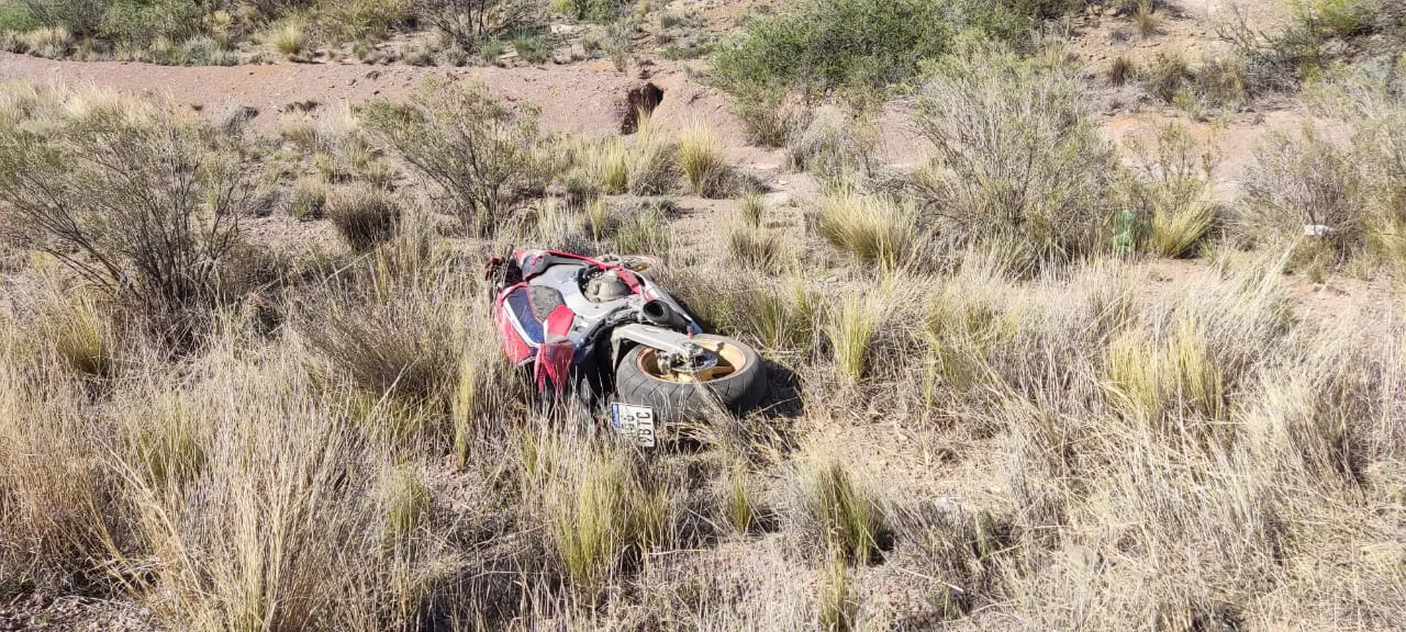 WhatsApp Image 2024-10-05 at 6.49.08 PM