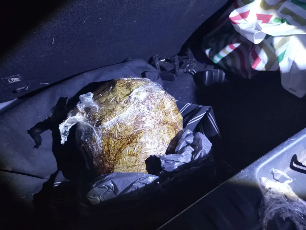 Mendoza Punta de Vacas FEB261