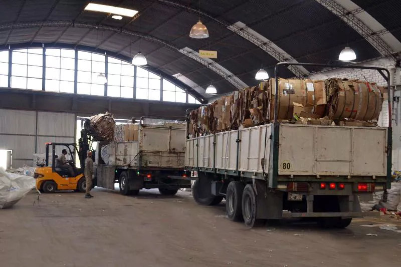 Ambiente Guaymallén 2022 (27)