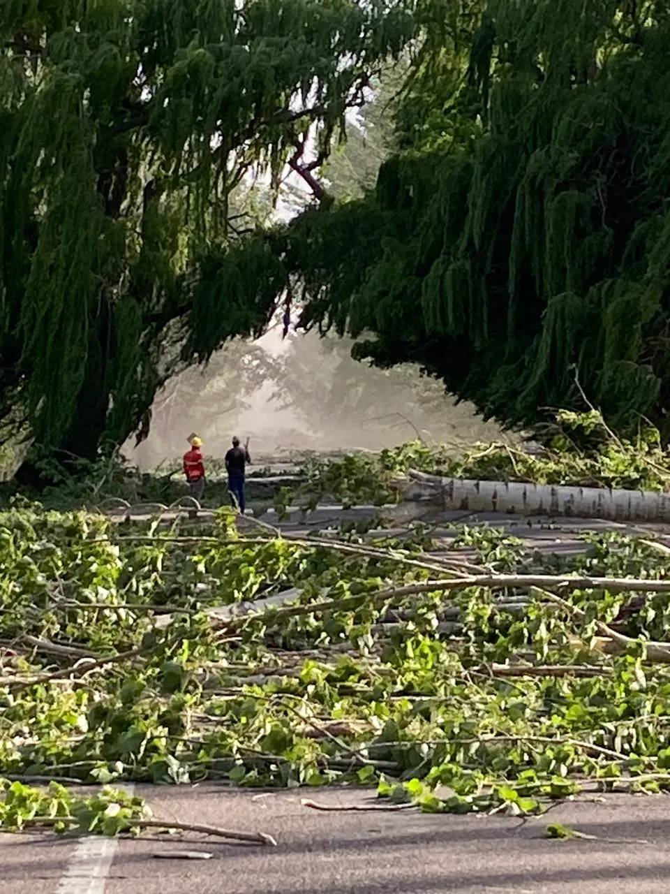 zonda en san carlos 2
