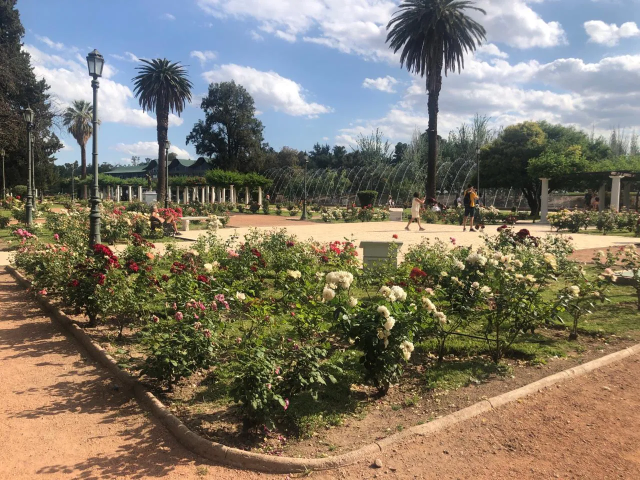 rosedal parque San Marín