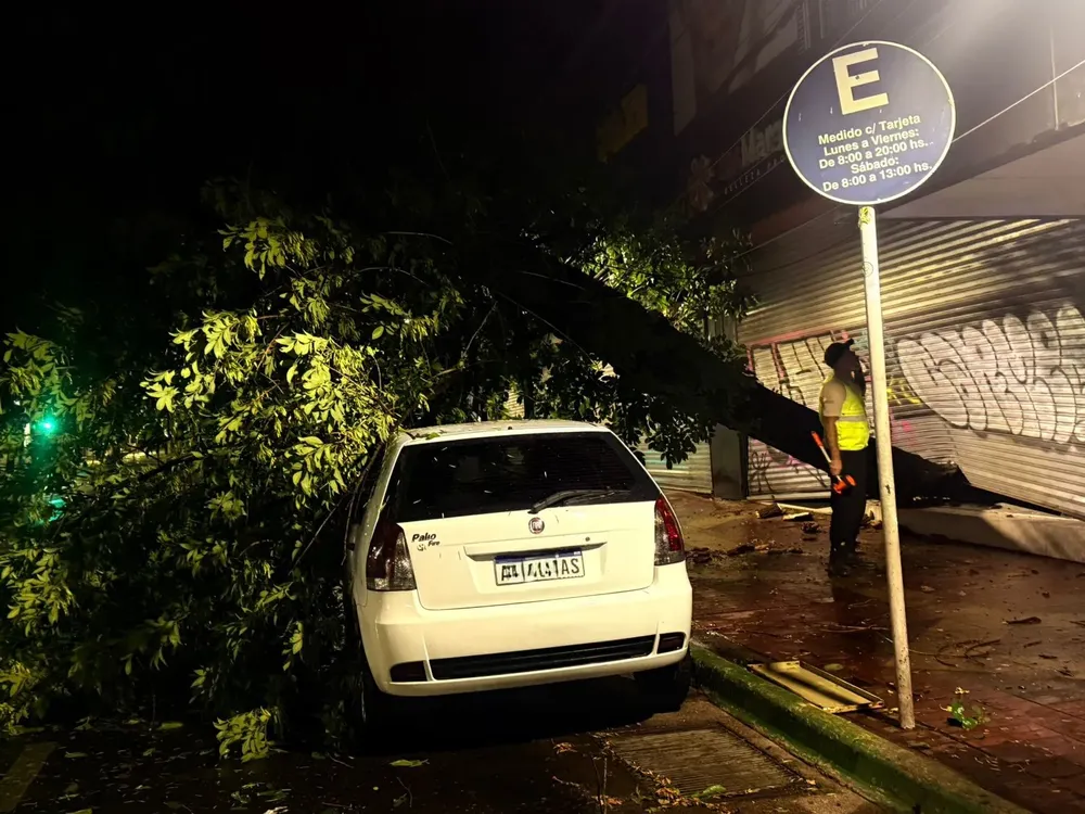 WhatsApp-Image-2026-01-24-at-7.42.09-AM