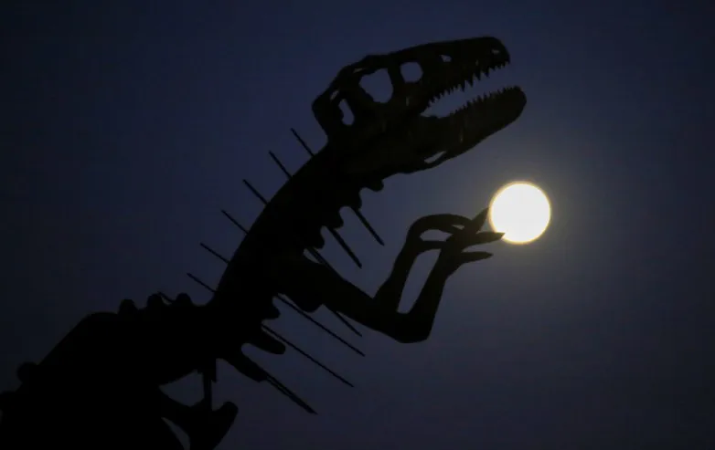 d03767e0c68dfe92fc76791649bb5e3d_L