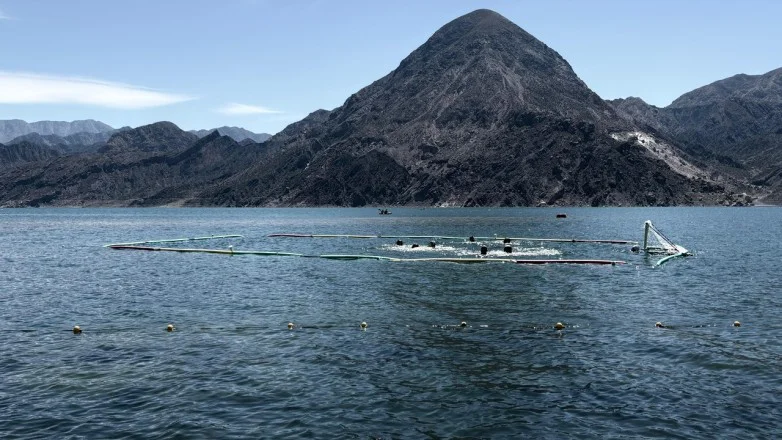 Waterpolo, Dique Punta Negra