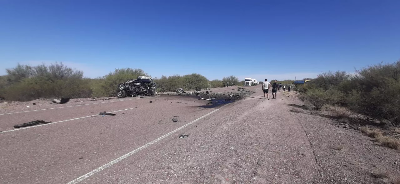 WhatsApp Image 2023-02-26 at 17.22.00